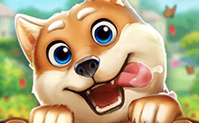 MT电游中国龙游戏（MT电游中国龙游戏）