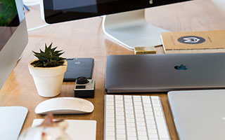 MT电子站疯狂猴子排名（MT电子站疯狂猴子排名）